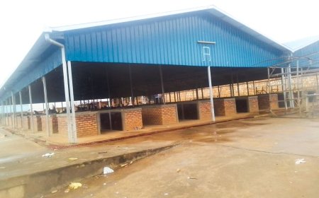 NYAGATARE: Abakorera muri Centre ya Mimuli barasaba kuvugururirwa isoko.