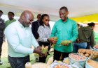 Gicumbi: Umushinga Green Gicumbi wasoje ibikorwa byawo, nyuma y’imyaka 6 y’impinduka ku baturage.