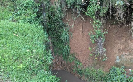Gicumbi: Ligoli zibateza isuri aho kuyibarinda.