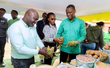 Gicumbi: Umushinga Green Gicumbi wasoje ibikorwa byawo, nyuma y’imyaka 6 y’impinduka ku baturage.