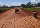 Kayonza: Bamara gusinda bagatangira umuhisi n’umugenzi.