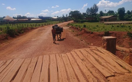 Kayonza: Bamara gusinda bagatangira umuhisi n’umugenzi.