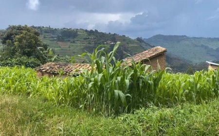 Burera: Bagiye kwimurwa aho batuye n'imisoro.