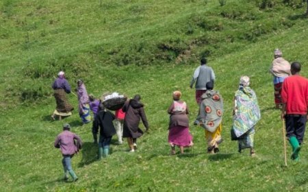 Nyabihu: Batandatu  bapfuye bazize inzoga y’inkorano yitwa Rubenge.