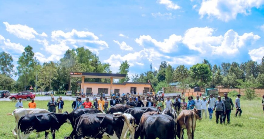NYAGATARE: Imiryango 17 irimo abarokotse Jenoside n’abamugariye ku rugamba yorojwe inka na PSF.