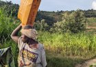 Gicumbi: Mubazi y'amazi n'ikigega byashoye abaturage mu bishanga.