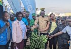 Imishinga mishya iteganyijwe, udushya no kumurika ibyagezweho: EXPO i Gicumbi.