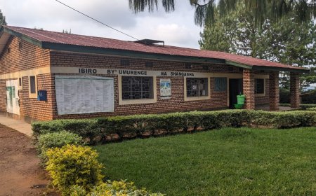 Gicumbi: Akarengane muri Girinka karavuza ubuhuha.